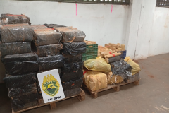 PMPR apreende mais de 880 quilos de maconha em Foz do Iguaçu