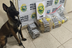 PMPR apreende mais de 29 quilos de maconha e prende três por tráfico em Pato Branco