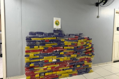 PMPR apreende mais de 380 quilos de maconha após abordagem na BR-277