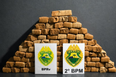 PMPR apreende quase 50 quilos de maconha durante fiscalização em Andirá