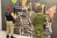 Mais de 2,6 toneladas de maconha são apreendidas em ações da PMPR no Oeste do Estado