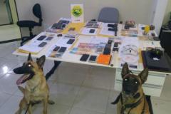 Polícia Militar cumpre mandados no Norte Pioneiro e apreende drogas, dinheiro e objetos; 19 pessoas são encaminhadas