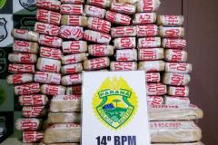 No Oeste do estado, militares estaduais apreendem mais de 65 quilos de maconha

