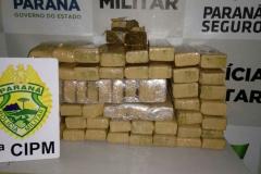 PM apreende mais de 60 quilos de maconha em propriedade rural no Noroeste do estado 