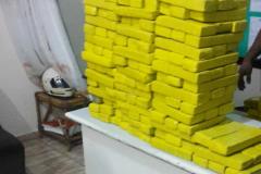 Polícia Militar apreende 114 quilos de maconha e 3,1 quilos de cocaína no Oeste do estado