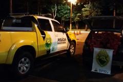 BPRv apreende mais de 107 quilos de maconha em Diamante do Oeste (PR)


