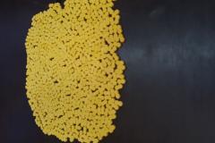 PM aborda motociclista e apreende 600 comprimidos de ecstasy em Pinhais, na RMC

