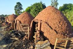 BPAmb-FV apreende 480 quilos de carvão e 130 metros de lenha em carvoaria ilegal no Noroeste do estado