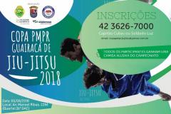 Copa PMPR de jiu-jitsu movimenta Guarapuava em agosto