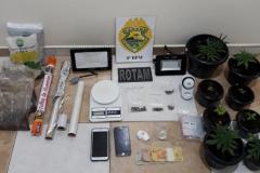 Pés de maconha são apreendidos pela Polícia Militar no Noroeste do Paraná