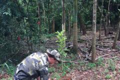 Policiais ambientais participam da Faxina Ecológica no Rio Piquiri, no Noroeste do estado