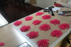 Adolescentes com drogas e dinheiro são apreendidos pela PM em imóvel abandonado no Santa Quitéria, em Curitiba

