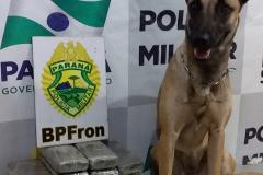 Bagagem cheia de drogas é apreendida e Mandado de Prisão cumprido pelo BPFron em ações distintas no Oeste Paranaense