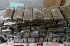 No Oeste do Paraná, atuação da Polícia Militar no último fim de semana resulta em 64 quilos de maconha apreendidos 