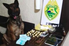 Ações distintas resultam na apreensão de drogas, veículos e até cachorros utilizados na prática de caça em Pato Branco (PR)