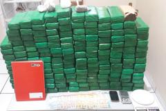 Operação em Ribeirão do Pinhal (PR) resulta na apreensão de mais de 71 quilos maconha e cocaína