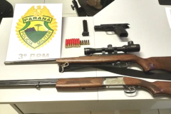 Homem é encaminhado por posse irregular de armas de fogo em São João (PR)