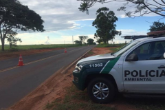 Ações da Polícia Ambiental combatem pesca predatória e retira redes e arma de fogo de circulação