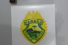 Homem é preso e duas armas de fogo são apreendidas pela PM em Palmeira (PR)