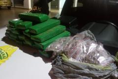 Grande quantidade de maconha enterrada em quintal é apreendida pela PM em Londrina no Norte do estado