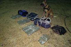 Cão de faro da PM localiza quase 20 quilos de maconha dentro de ônibus em Foz do Iguaçu (PR); dois são encaminhados 