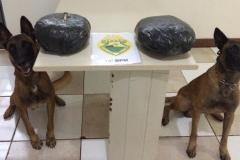 Em Apucarana (PR), PM apreende quase três quilos de Skank com adolescente