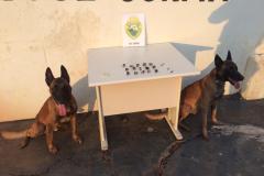 Trio é preso por porte e consumo de drogas dentro de uma chácara em Bom Sucesso (PR) 
