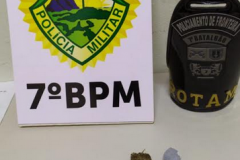 Três pessoas são encaminhadas por envolvimento com tráfico de drogas em Cruzeiro do Oeste (PR)