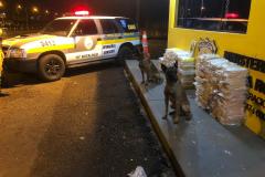 Canil do 10º Batalhão da PM localiza mais de 260 quilos de crack e cocaína em apoio à PRF