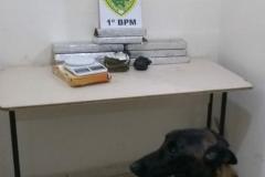 Mais de 10 quilos de maconha são apreendidos por policiais militares de Ponta Grossa (PR)