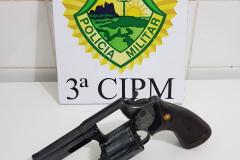 Homem é preso pela PM por violência doméstica e porte ilegal de arma de fogo em Santa Cruz de Monte Castelo (PR)