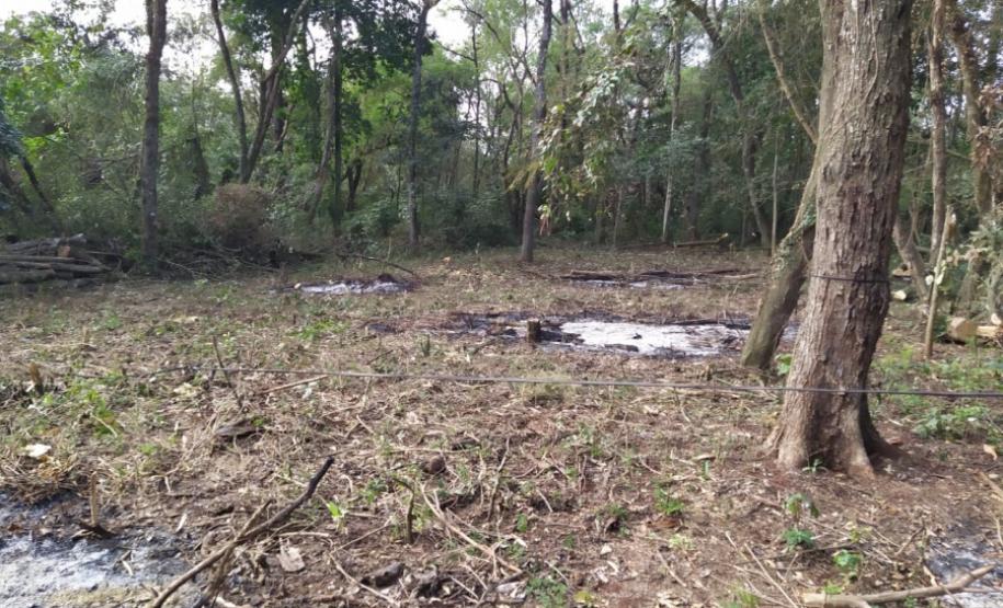 Operação em área de preservação ambiental permanente identifica mais de 150 moradias irregulares próximo ao Lago de Itaipu