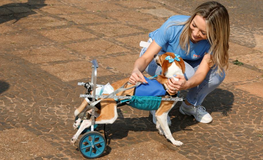 Equipe do Choque da PM de Ponta Grossa (PR) promove 1ª Cãominhada no Parque Ambiental