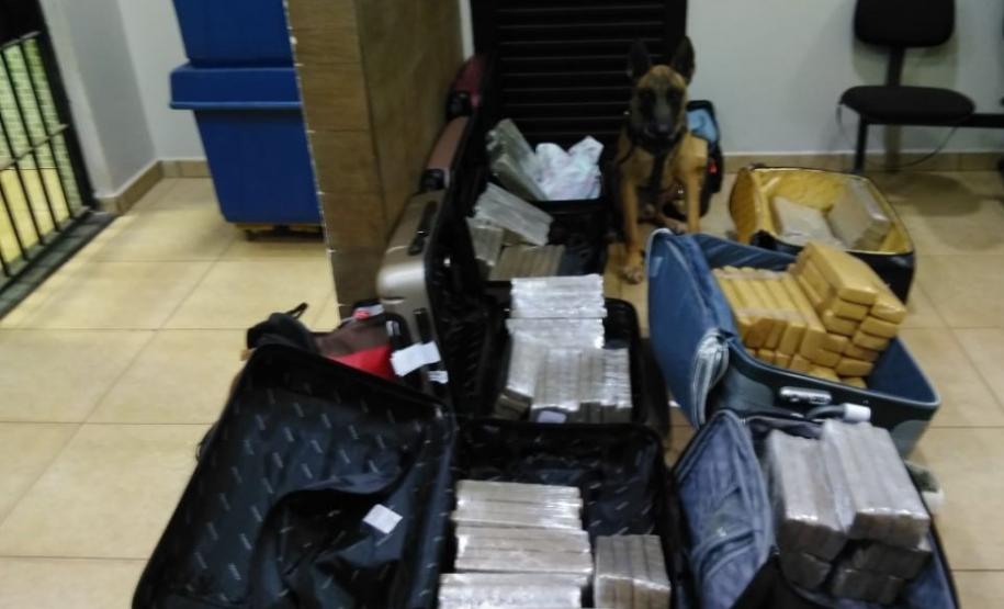 BPRv apreende mais de 90 quilos de maconha em uma única abordagem na cidade de Bandeirantes (PR)