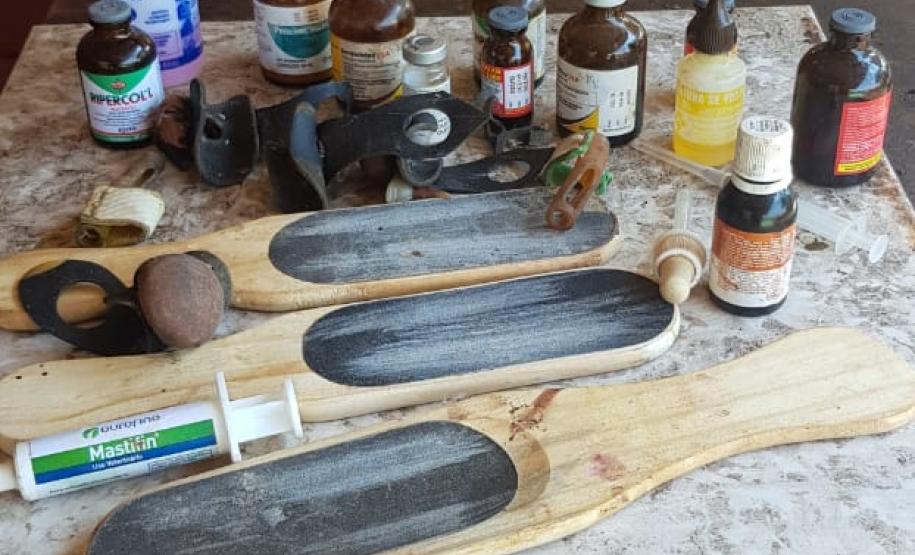 Operação Rinha de Galo: Polícia Ambiental resgata aves maltratadas e rapaz é advertido com multa que ultrapassa R$ 20 mil