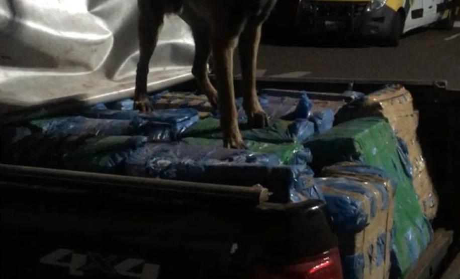 Roubado no Rio de Janeiro, veículo é recuperado pela PM do Paraná no interior do Estado