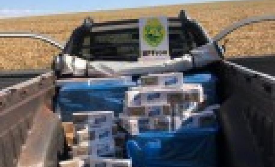 Contrabando é apreendido pelo BPFron no Oeste do estado; homem é preso