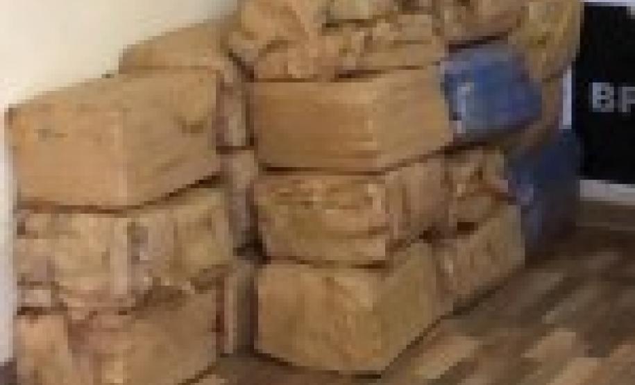 Mais de 300 quilos de maconha são apreendidos pelo BPFron no Oeste do estado
