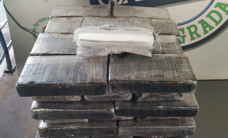 Tabletes de cocaína.