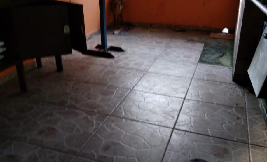 Movimentação constante em chácara gera denúncia e rapaz é preso em casa com mais de 700 pés de maconha em Tijucas do Sul (RMC)