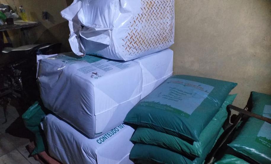 Mais de mil pés de maconha são apreendidos pela PM em Tijucas do Sul na RMC