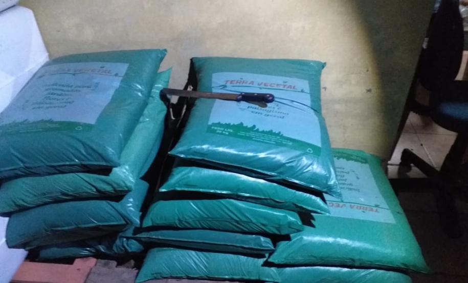 Mais de mil pés de maconha são apreendidos pela PM em Tijucas do Sul na RMC