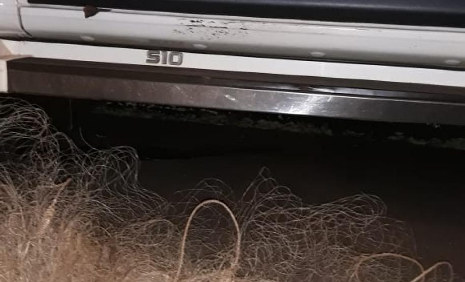 Polícia Ambiental flagra pesca irregular e encaminha quatro envolvidos à delegacia em Luiziana (PR), no Noroeste do estado