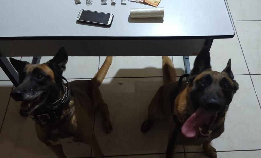 PM do Norte Pioneiro apreende drogas e recupera veículos