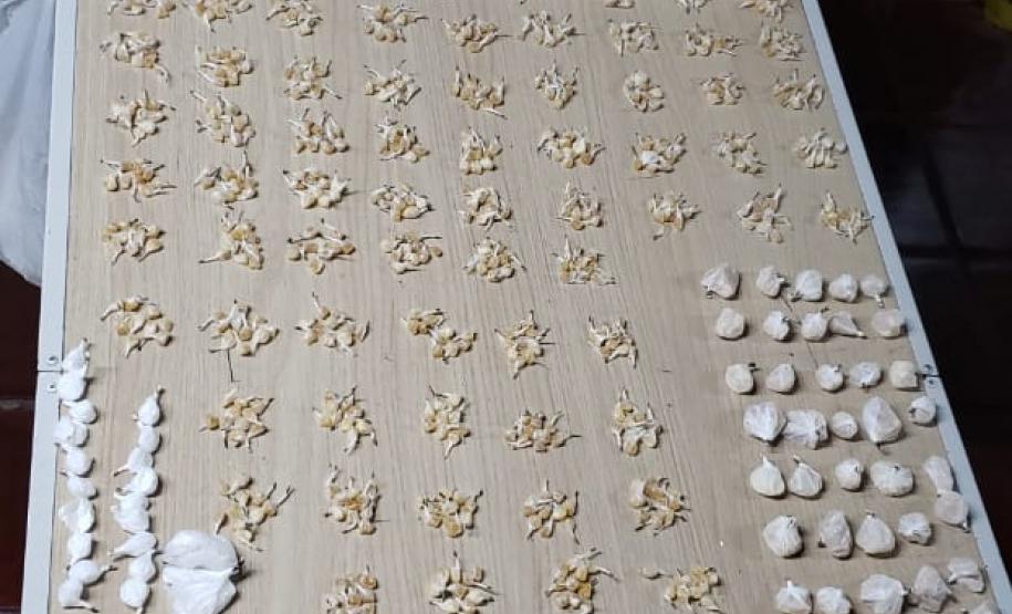 PM encaminha adolescente e apreende mais de 1,4 mil porções de drogas no Parolin (PR)