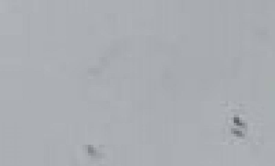 PM encaminha adolescente e apreende mais de 1,4 mil porções de drogas no Parolin (PR)