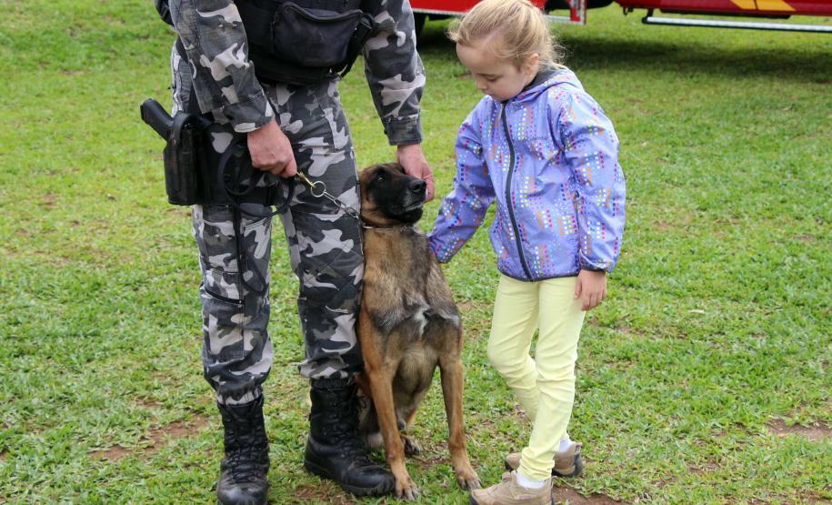 Regimento de Polícia Montada (RPMon) sedia o 2º Campeonato Paranaense de Paraenduro, no Haras da PM em Pinhais
