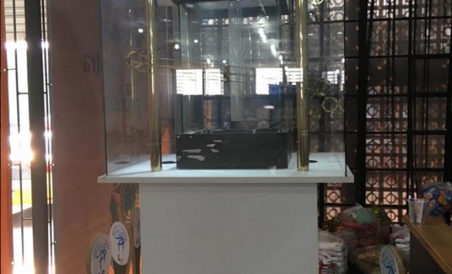 PM intensifica fiscalização em estabelecimentos comerciais em Londrina (PR) e desmantela jogos de azar durante Operação AIFU