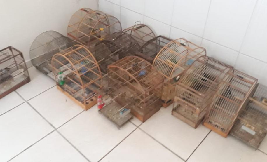 PM e PC se unem novamente com Operação em combate ao crime no Interior do Paraná