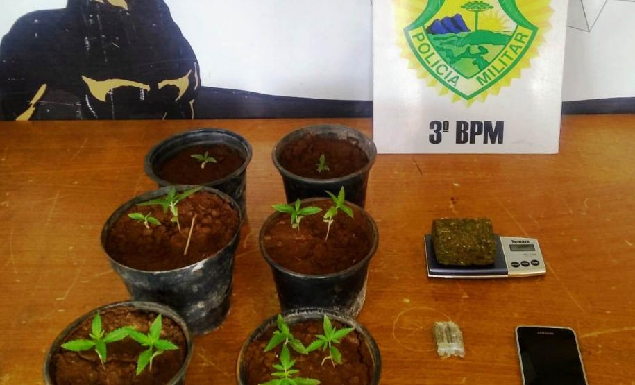 PM apreende mais de 10 quilos de maconha e 11 pés da mesma substância, no Sudoeste do estado  COM FOTO